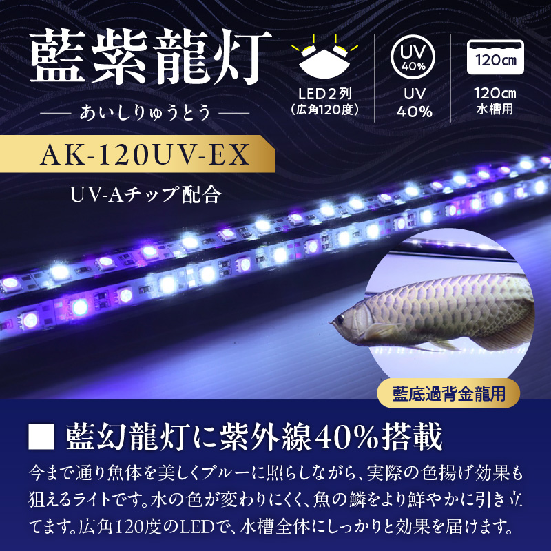 スリム&高耐久!金龍を美しく、UV-Aチップ配合の水中LED|AK-120UV-EX 藍