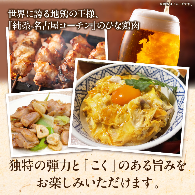 純系 名古屋コーチン ひな鶏 「食べ比べ３種セット」