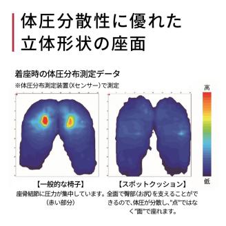〈訳あり〉スポッとクッションカラー廃番
