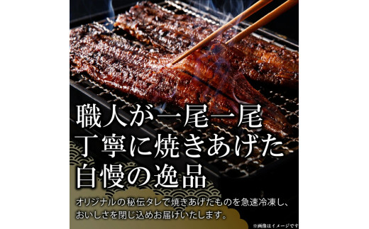 老舗のうなぎ　【特選上長焼】３尾セット（秘伝のタレ・山椒付）