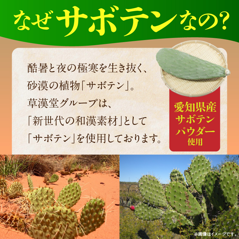 和漢サボテンのど飴　1袋 和漢 サボテン のど飴 草漢堂 オリジナル サボテンパウダー入り ノンシュガー 着色料不使用 個包装 島川あめ店 コラボ 飴 キャンディー おかし お取り寄せ 愛知県 小牧市 送料無料