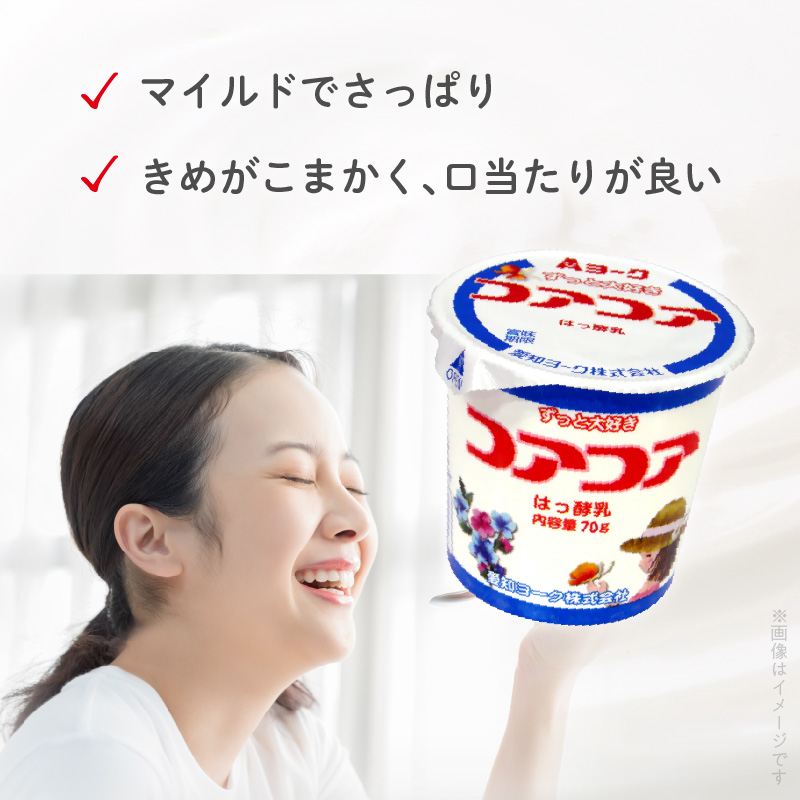 【3ヶ月定期便】愛知ヨーク　コアコアヨーグルト　20個入