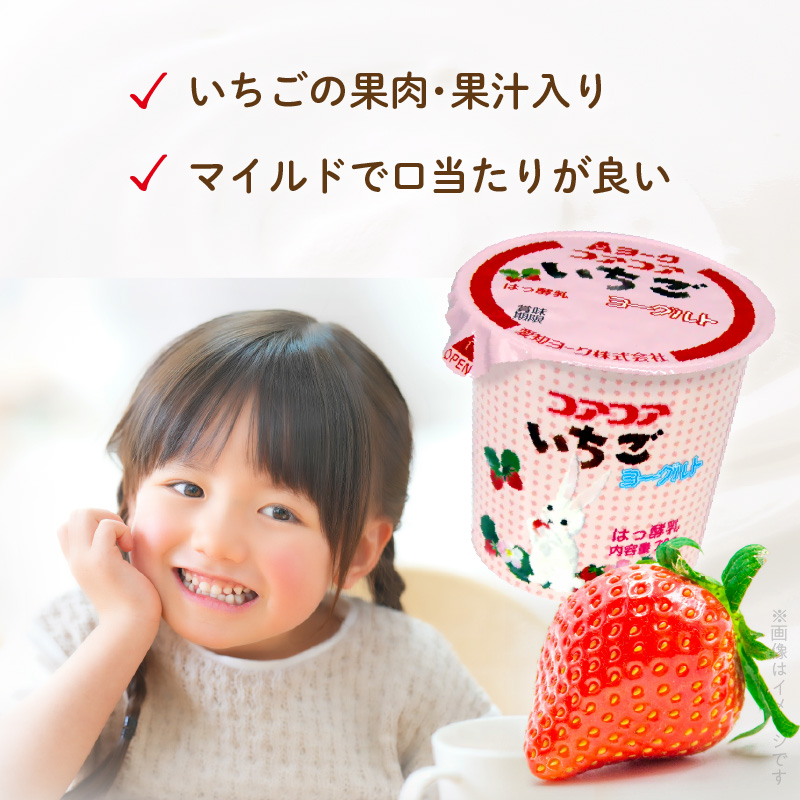 【6ヶ月定期便】愛知ヨーク　コアコアいちご・コアコアりんご　20個入