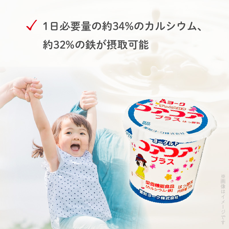 愛知ヨーク　コアコアプラスヨーグルト　20個入　（栄養機能性食品）