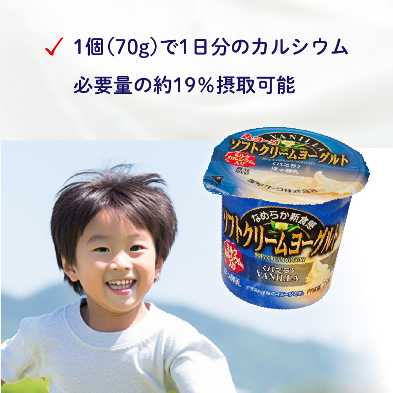 【6ヶ月定期便】愛知ヨーク　ソフトクリームヨーグルト　20個入