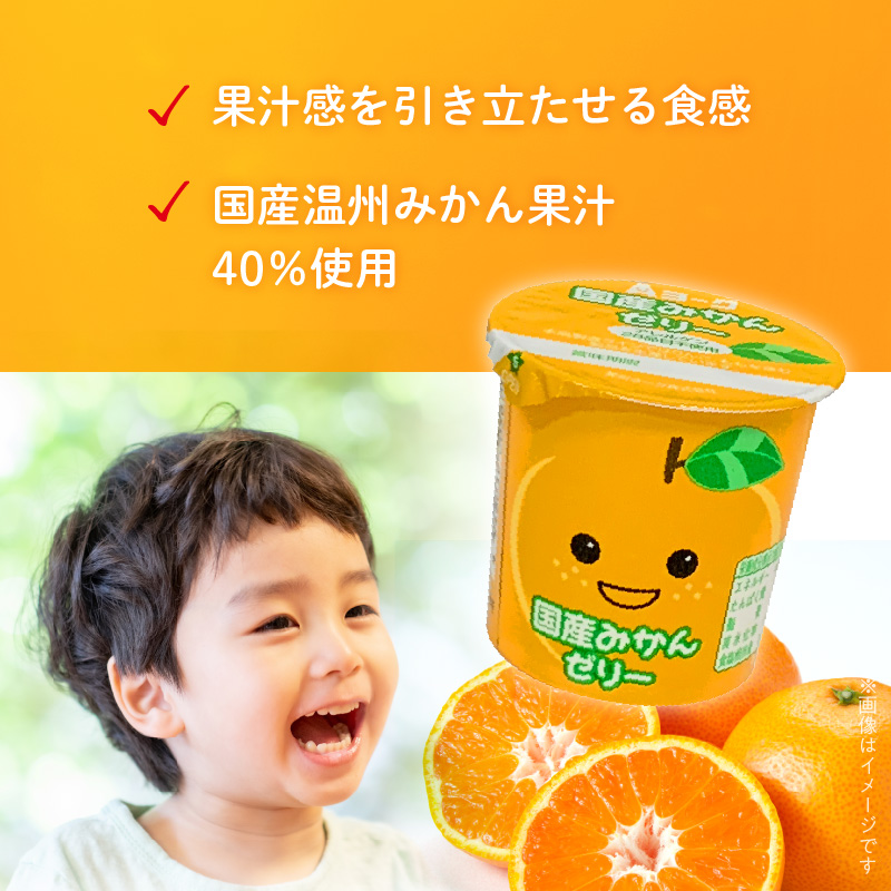 【6ヶ月定期便】愛知ヨーク　国産みかんゼリー・国産ももゼリー　20個入