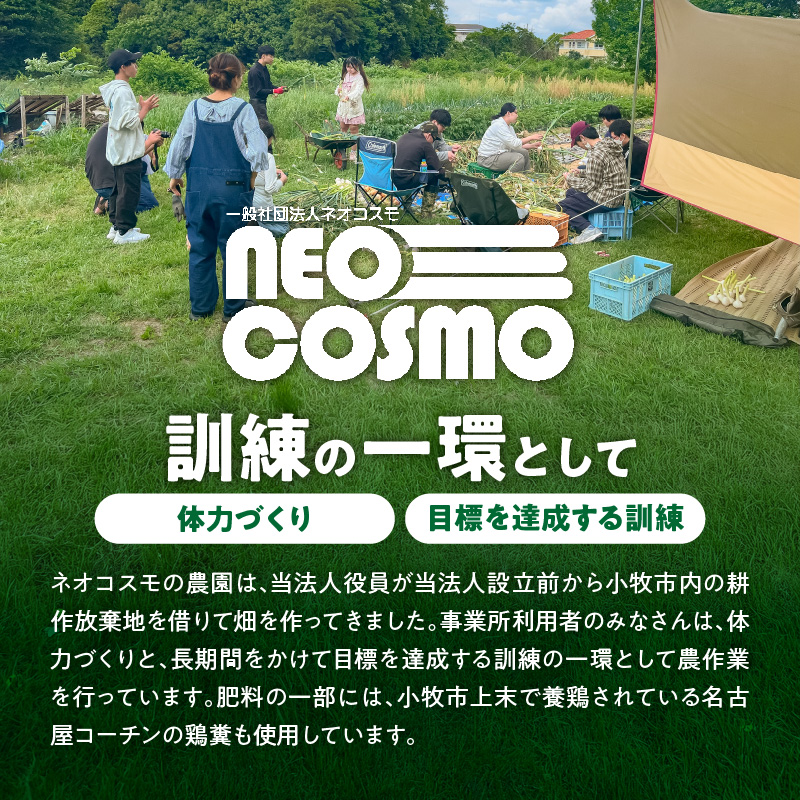 ★障がい者支援施設応援品★ ネオコスモ農園で採れた小牧の野菜詰め合わせ