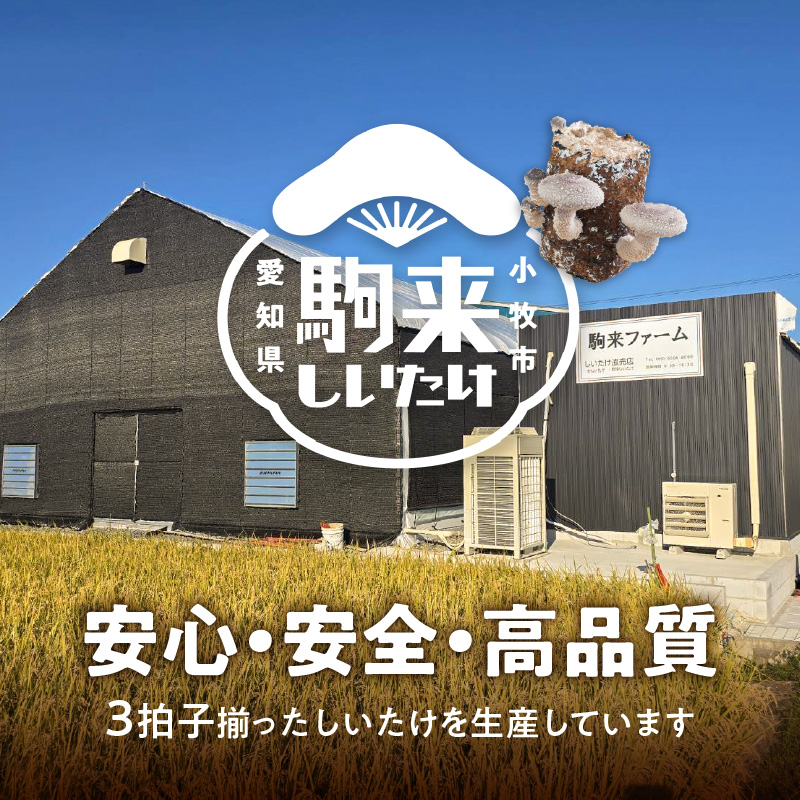 駒来ファームの肉厚乾しいたけ・スライス乾しいたけ[極上 肉厚 乾しいたけ 乾シイタケ 乾椎茸 干ししいたけ 干し椎茸 スライス 安心 安全 国産 採れたて 新鮮 きのこ 野菜]