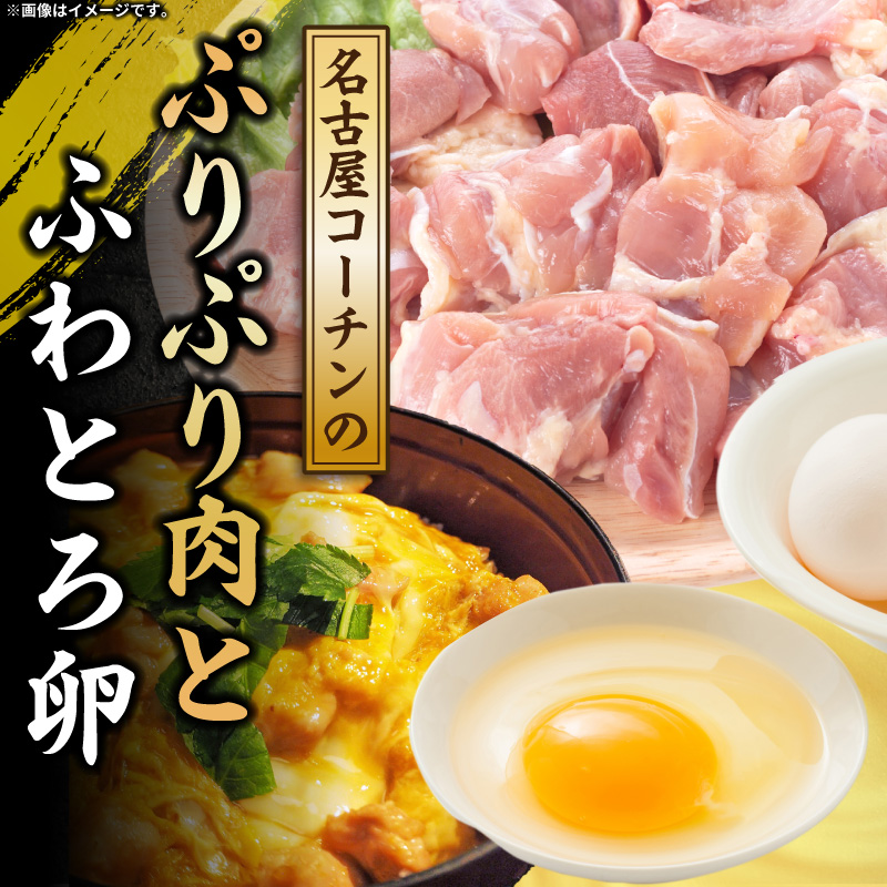 【名古屋コーチン入り】駒来しいたけの駒丼（こまどん） しいたけ丼 シイタケ丼 椎茸丼 名古屋コーチン コーチン肉付き 親子丼 地鶏 日本三大地鶏 国産 鶏 鶏肉 レトルト 常温 非常食 湯煎 レンジ どんぶり 丼 丼ぶり 簡単調理 コク 旨み 名古屋コーチン入り しいたけ 駒丼 どんぶりのもと 丼の素 230g 4箱 肉厚 濃厚 だしの旨味 お取り寄せ 愛知県 小牧市 送料無料