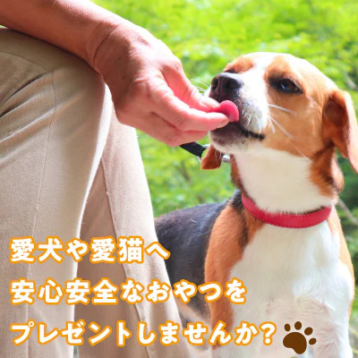 犬猫用 無添加おやつジャーキー 牛グリーントライプ（肉）