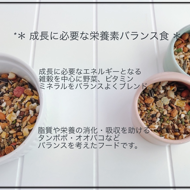 fuu うまうまセレクション リス ・ハムミックス＋（215g）