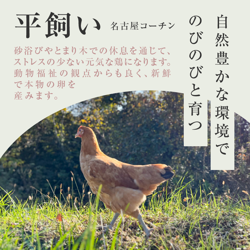 【医師監修】野菜を食べて育った平飼いの卵「名古屋コーチン ベジたま」（30個入り）