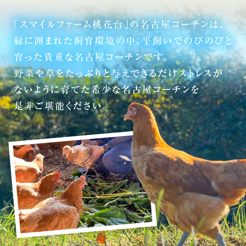 『スマイルファーム桃花台』名古屋コーチン肉 １羽分セット