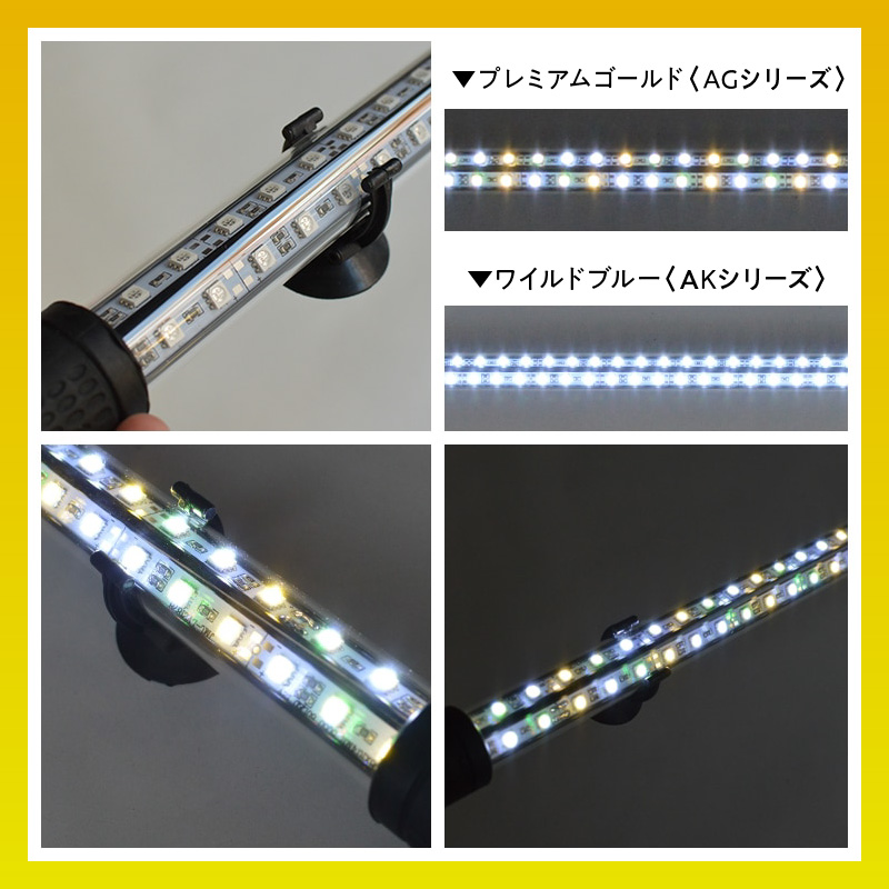 水槽全体を明るく照らし、鱗を際立たせる!金龍専用の高輝度水中ライト|AG120-EX 金龍 専用 プレミアムゴールド 水中 アロワナ 高輝度 水槽ライト テンニングライト グラデーション 3色 LED ライト 照明 水中照明 光 綺麗 強化ガラス 吸盤 1年保証 簡単 設置 でんらい インテリア 雑貨 愛知県 小牧市 送料無料