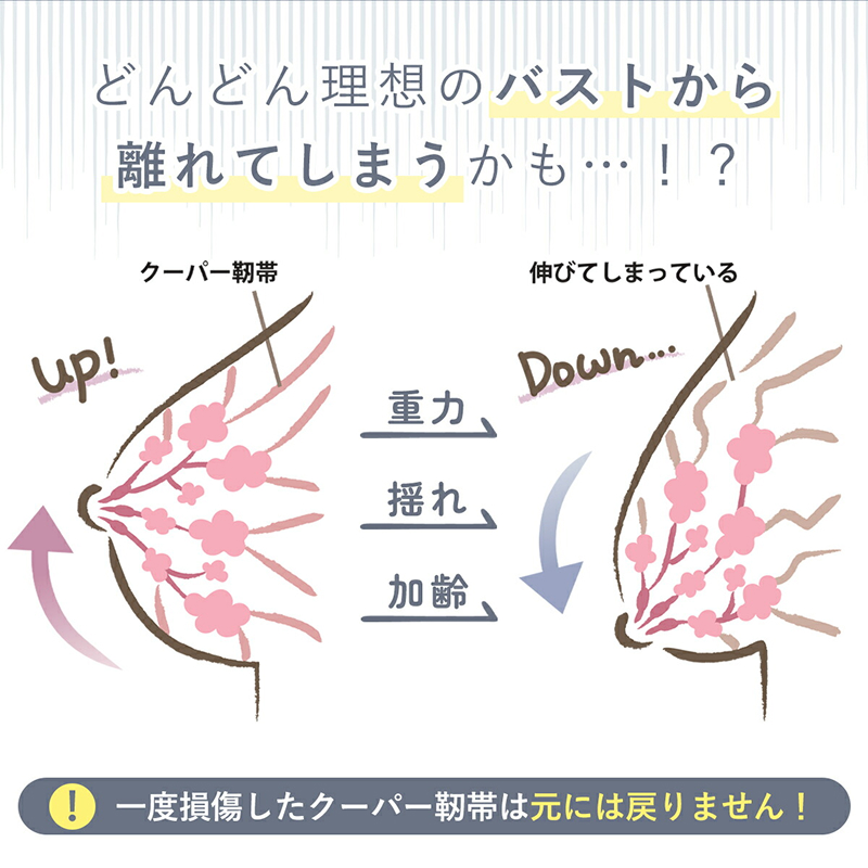 極楽ブラ（ナイトブラ）
