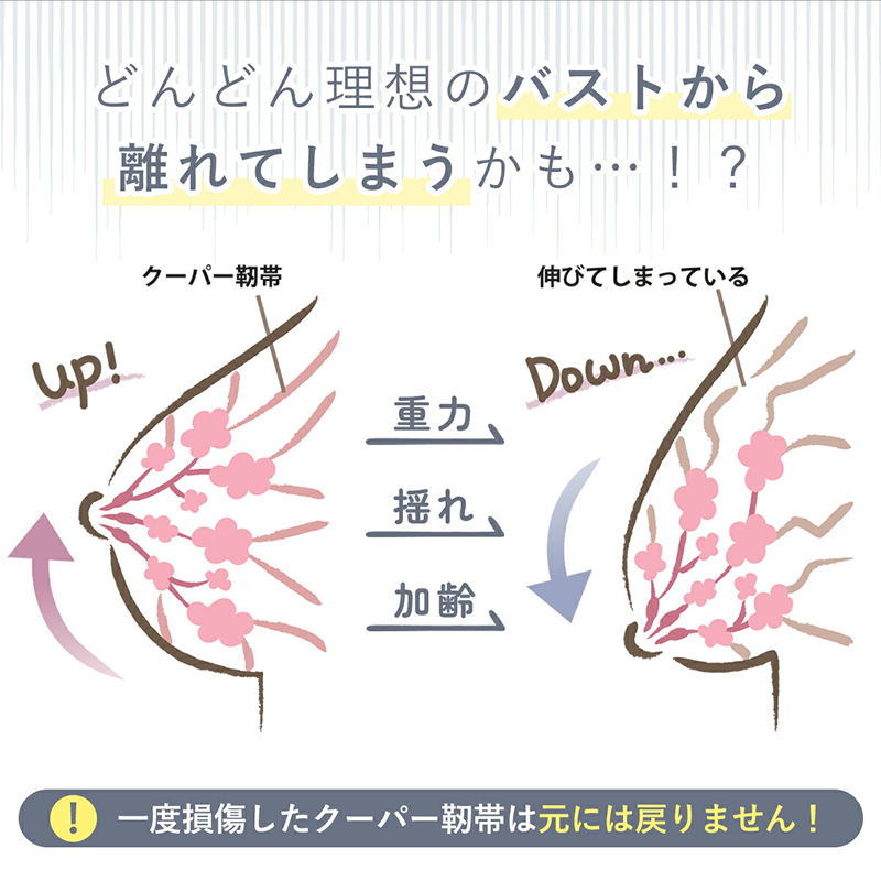 極楽ブラ ３枚セット（ナイトブラ）
