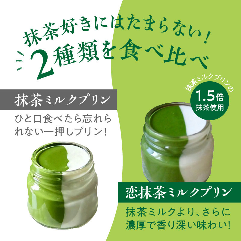 抹茶ミルクプリン　お茶事セット　6個入