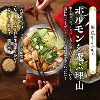 山樹のピリ辛味噌もつ鍋　１～２人前セット