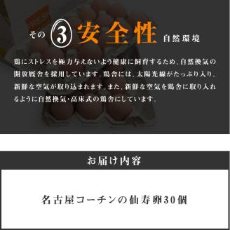 名古屋コーチン卵30個入り