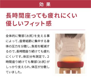 〈訳あり〉スポッとクッションカラー廃番