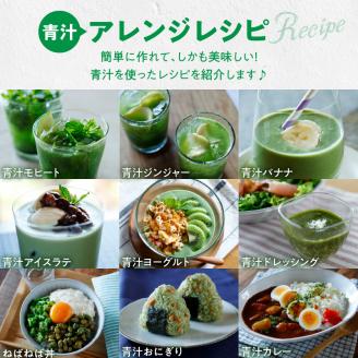 青汁 ドラッグストア 売上No.1 大麦若葉 100％ 山本漢方 154 スティック 粉末 抹茶風味 無添加 美味しい 毎朝習慣 ヘルシー 野菜不足 野菜摂取 ドリンク くせがない シンプルな味 香り 山本漢方製薬 愛知県 小牧市 お取り寄せ 送料無料