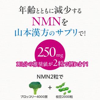 サプリ NMN 60粒 30日分 1袋 山本漢方製薬 ニコチンアミド モノ ヌクレオチド 加齢 老化 予防 1日 2粒 摂取 健康 美容 サプリメント 日本産 自社工場 製造 愛知県 小牧市 お取り寄せ 送料無料