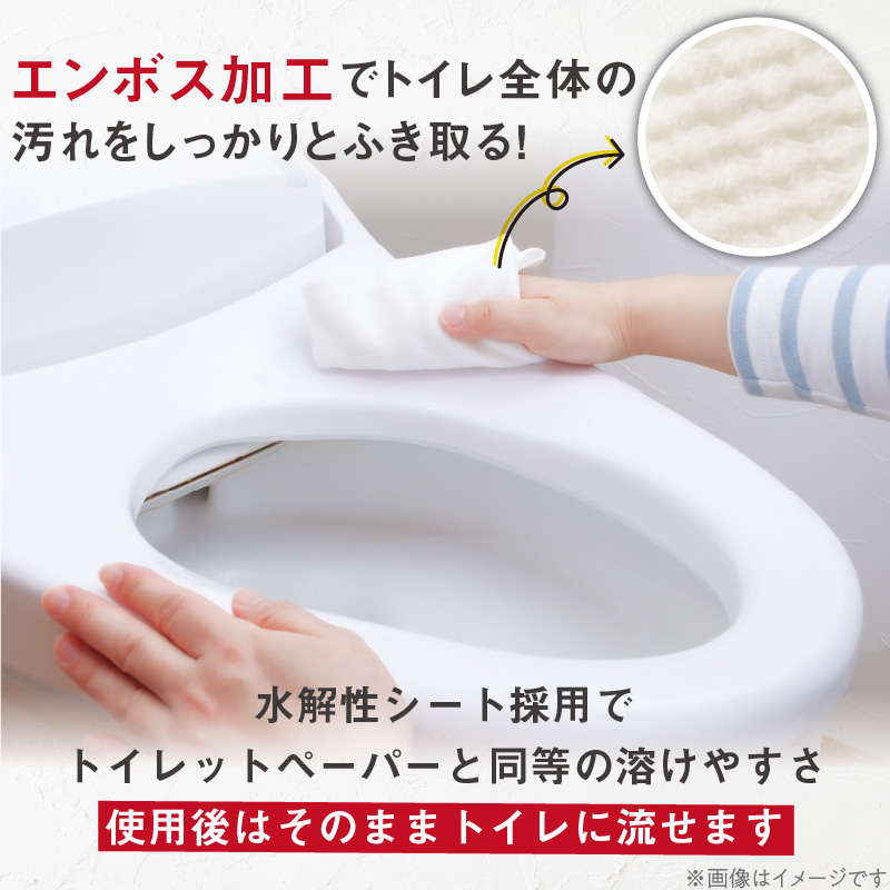 KIREI楽々　流せる重曹+セスキ　トイレクリーナー24枚×40パック