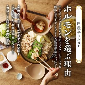 山樹の本格味噌もつ鍋　４～５人前セット