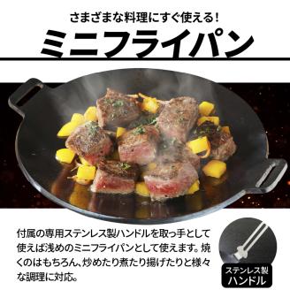 鍛冶屋の頓珍漢　ミガキのフライ鉄板　F220S