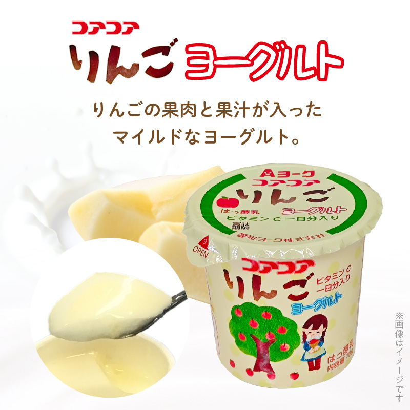 【3ヶ月定期便】愛知ヨーク　コアコアいちご・コアコアりんご　20個入