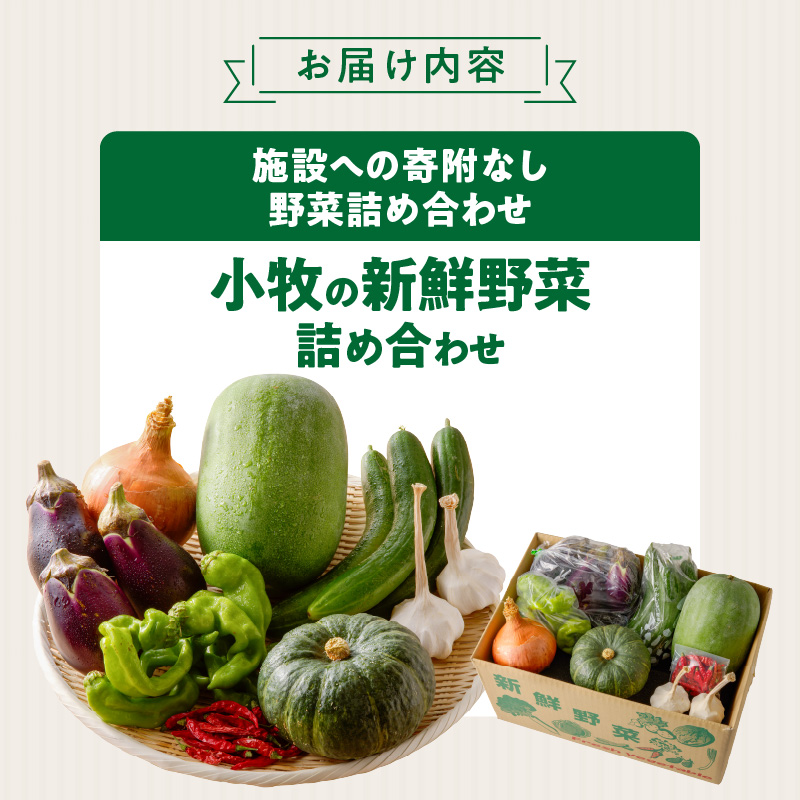 ネオコスモ農園で採れた小牧の野菜詰め合わせ