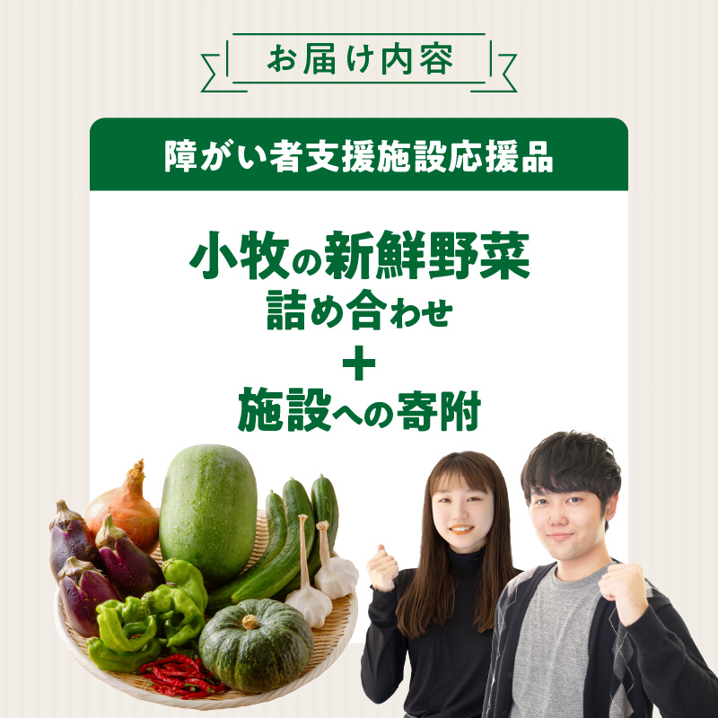★障がい者支援施設応援品★ ネオコスモ農園で採れた小牧の野菜詰め合わせ