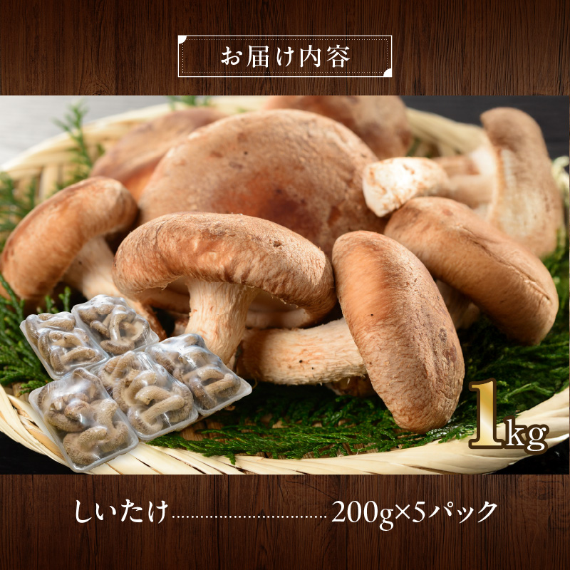 駒来ファームの 極上・肉厚 生しいたけ [極上 肉厚 生しいたけ 生シイタケ 生椎茸 安心 安全 国産 採れたて 新鮮 きのこ 野菜]