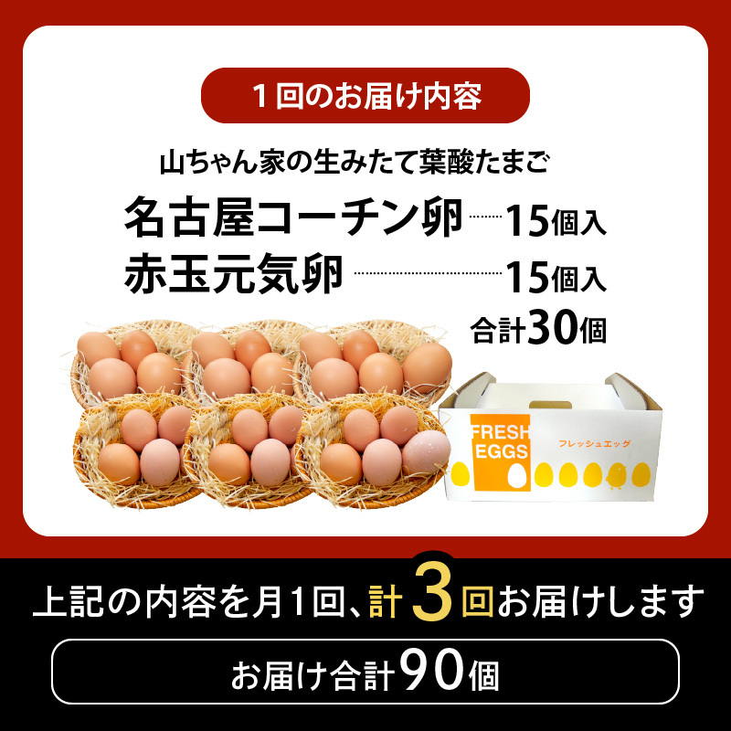 【3ヶ月定期便】【山ちゃん家の生みたて葉酸たまご】名古屋コーチン卵・赤玉元気卵 食べ比べセット（各15個 合計30個入り） 3ヶ月定期便 山ちゃん家 生みたて 葉酸たまご 名古屋コーチン卵 赤玉元気卵 食べ比べ セット 各 15個 合計 30個 入り 地鶏 卵 朝食 卵焼き 目玉焼き オムライス ゆでたまご 山田養鶏 お取り寄せ 愛知県 小牧市 送料無料