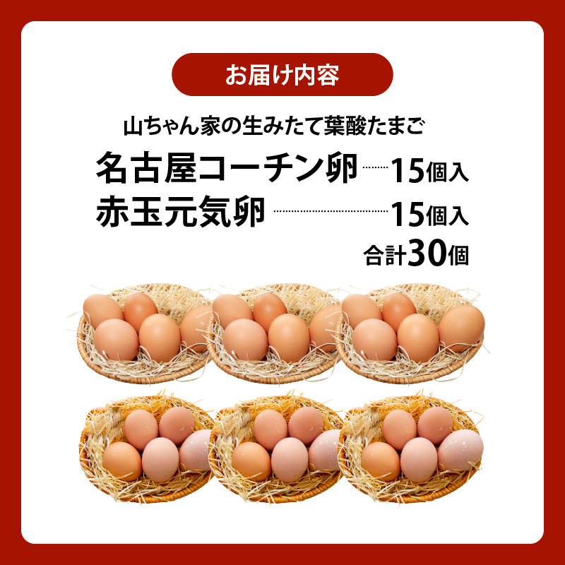 【山ちゃん家の生みたて葉酸たまご】名古屋コーチン卵・赤玉元気卵 食べ比べセット（各15個 合計30個入り） 山ちゃん家 生みたて 葉酸たまご 名古屋コーチン卵 赤玉元気卵 食べ比べ セット 各 15個 合計 30個 入り 卵 地鶏 朝食 卵焼き 目玉焼き オムライス ゆでたまご 山田養鶏 お取り寄せ 愛知県 小牧市 送料無料