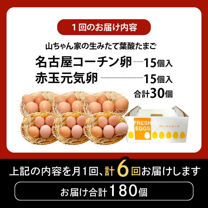 【6ヶ月定期便】【山ちゃん家の生みたて葉酸たまご】名古屋コーチン卵・赤玉元気卵 食べ比べセット（各15個 合計30個入り） 6ヶ月定期便 山ちゃん家 生みたて 葉酸たまご 名古屋コーチン卵 赤玉元気卵 食べ比べ セット 各 15個 合計 30個 入り 地鶏 卵 朝食 卵焼き 目玉焼き オムライス ゆでたまご 山田養鶏 お取り寄せ 愛知県 小牧市 送料無料