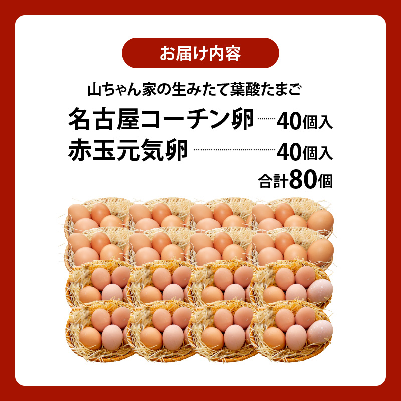 【山ちゃん家の生みたて葉酸たまご】名古屋コーチン卵・赤玉元気卵 食べ比べセット（各40個 合計80個入り） 山ちゃん家 生みたて 葉酸たまご 名古屋コーチン卵 赤玉元気卵 食べ比べ セット 各 40個 合計 80個 入り 地鶏 卵 朝食 卵焼き 目玉焼き オムライス ゆでたまご 山田養鶏 お取り寄せ 愛知県 小牧市 送料無料