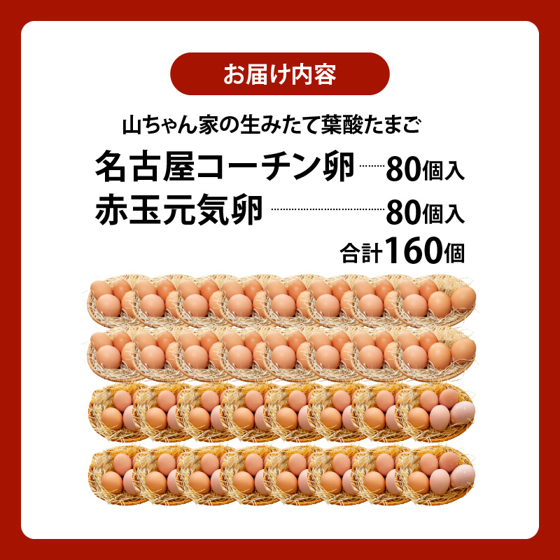 【山ちゃん家の生みたて葉酸たまご】名古屋コーチン卵・赤玉元気卵 食べ比べセット（各80個 合計160個入り） 山ちゃん家 生みたて 葉酸たまご 名古屋コーチン卵 赤玉元気卵 食べ比べ セット 各 80個 合計 160個 入り 地鶏 卵 朝食 卵焼き 目玉焼き オムライス ゆでたまご 山田養鶏 お取り寄せ 愛知県 小牧市 送料無料