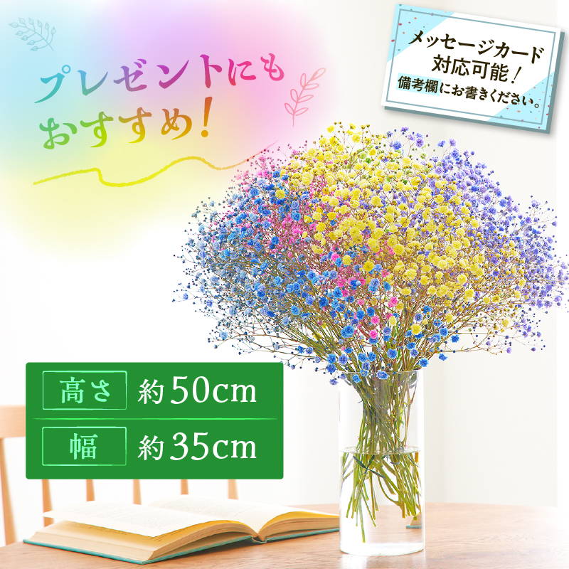 【佳花園】レインボーかすみそう 花束