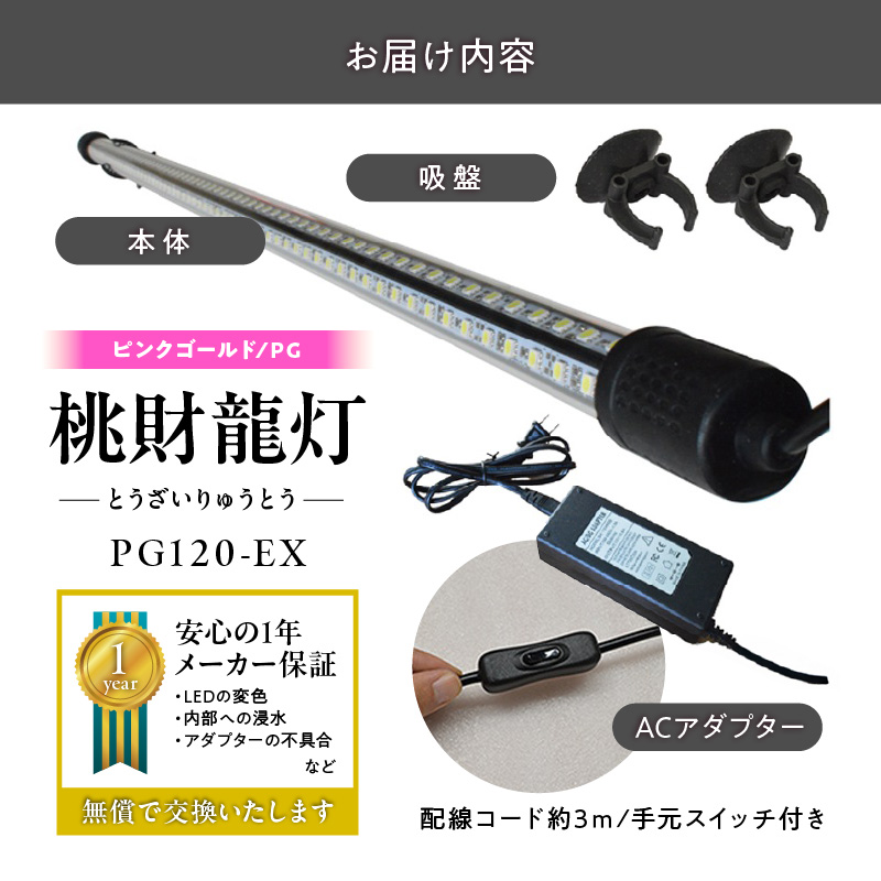 金龍の鱗を美しく照らす!ピンクゴールドの水中アロワナライト|PG120-EX 金龍 ピンクゴールド 照射 水中 アロワナ 水槽ライト テンニングライト LED ライト 照明 水中照明 光 綺麗 美観 強化ガラス 耐久性 1年保証 吸盤 簡単 設置 でんらい インテリア 雑貨 愛知県 小牧市 送料無料