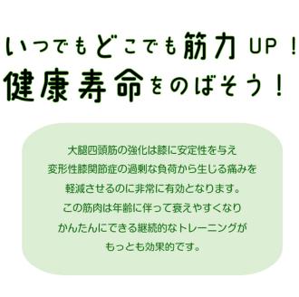 簡易型大腿四頭筋訓練器「プッシュﾎﾞｰﾄﾞ」