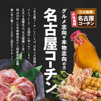 名古屋コーチン 親子丼 レトルト 200g × 4箱 ふわふわ卵 日本三大地鶏 地鶏 小牧発祥名古屋コーチン肉 丼もの 惣菜 弁当 おかず 愛知県 小牧市 デリカ食品 お取り寄せ お取り寄せグルメ 送料無料