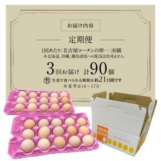 【3ヶ月定期便】名古屋コーチン卵(30個入り)×3回（計90個）