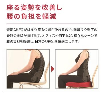 〈訳あり〉スポッとクッションカラー廃番