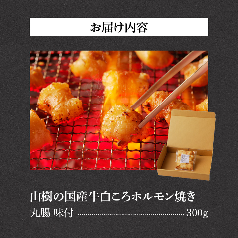 山樹の国産牛白ころホルモン焼き丸腸味付　300g