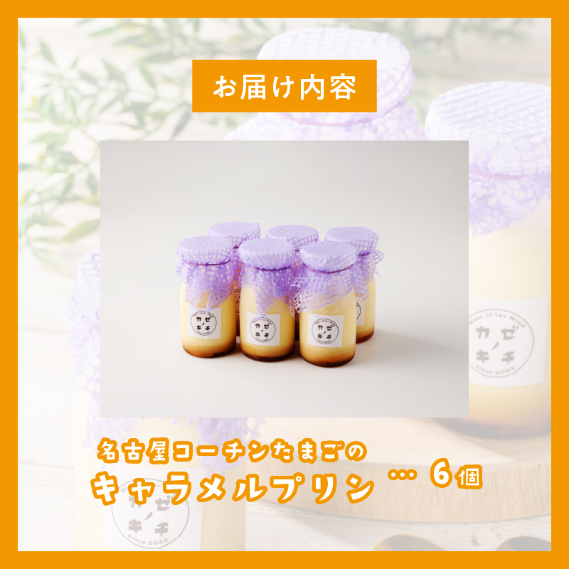 名古屋コーチンたまごのキャラメルプリン　6個セット
