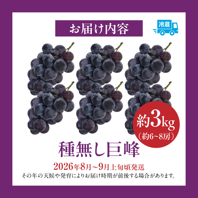 種無し巨峰 約3kg（約6～8房） 2026年 先行予約 種なしぶどう