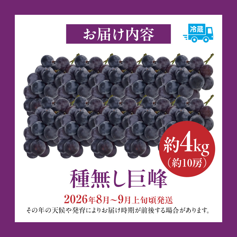 種無し巨峰 約4kg（約10房） 2026年 先行予約 種なしぶどう