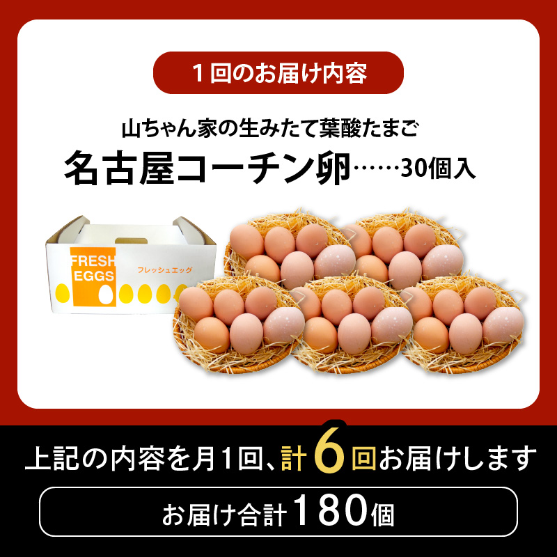 【6ヶ月定期便】【山ちゃん家の生みたて葉酸たまご】名古屋コーチン卵（30個入り）