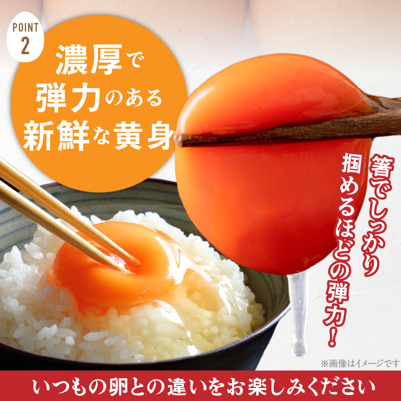 【山ちゃん家の生みたて葉酸たまご】名古屋コーチン卵（40個入り）